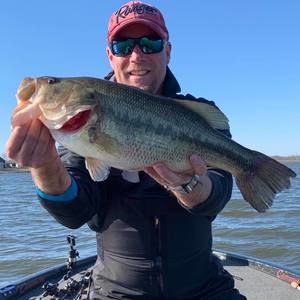 Meet your Posher, Donald